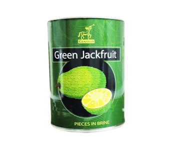 American Fresh Green Jackfruit in Brine 545Gm